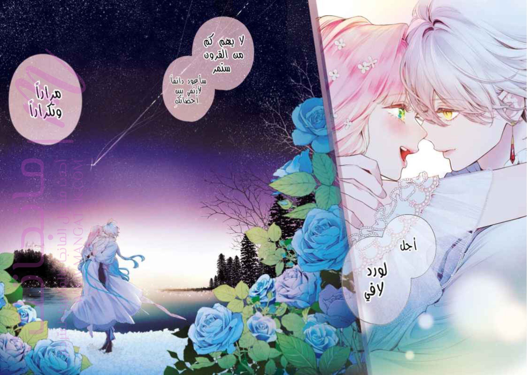 الصفحة 3