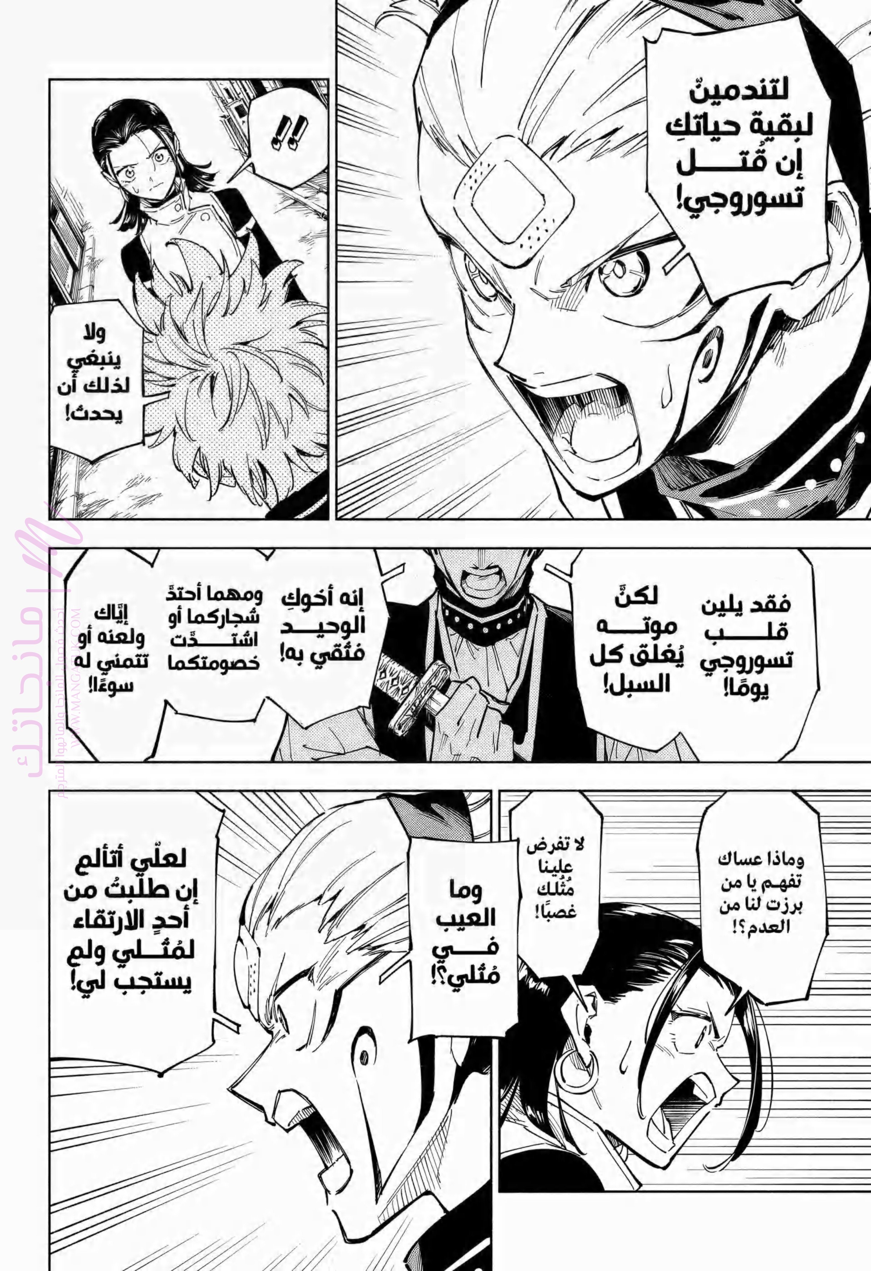الصفحة 29