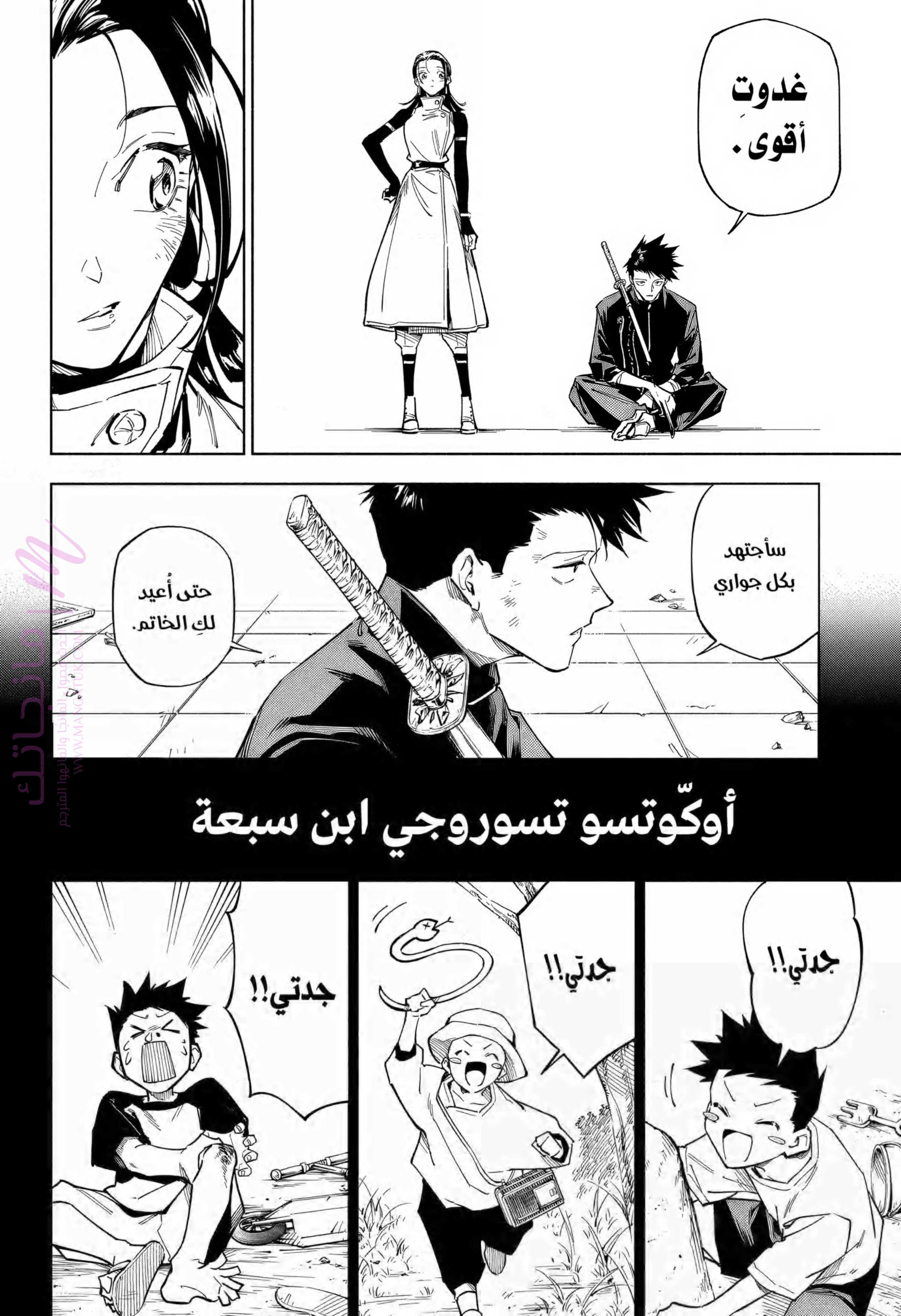الصفحة 46