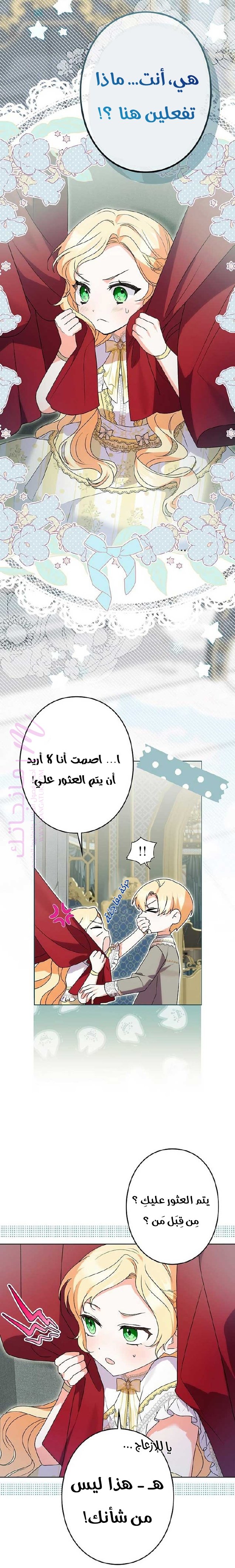 الصفحة 14