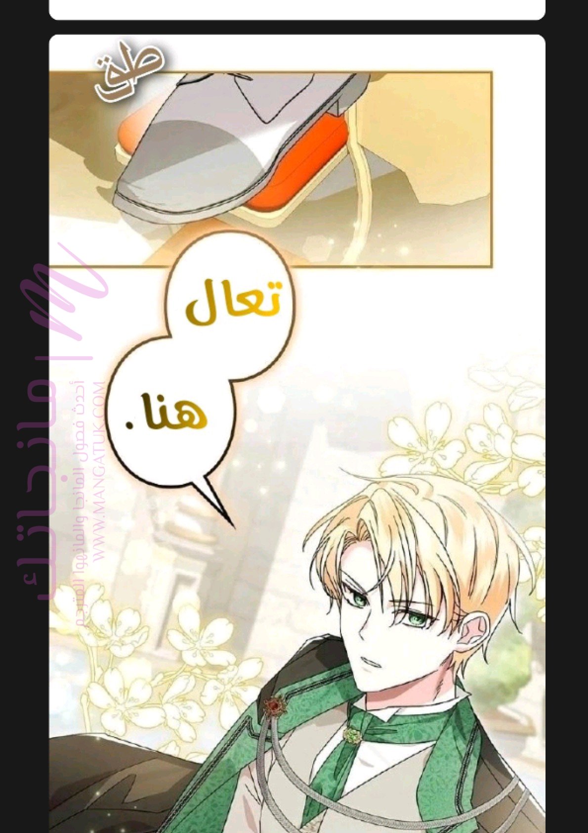 الصفحة 49