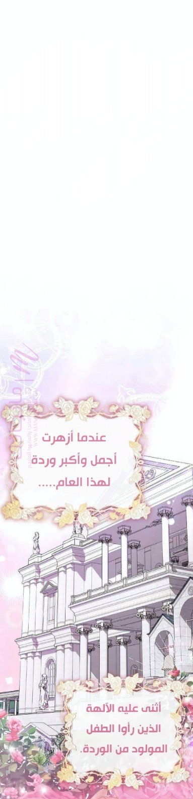 الصفحة 2