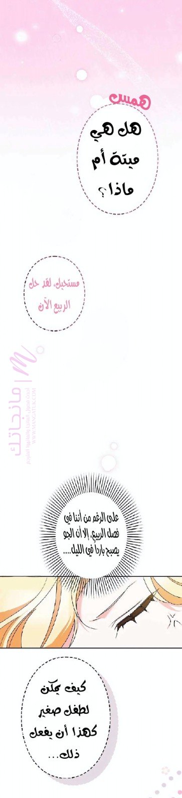 الصفحة 21