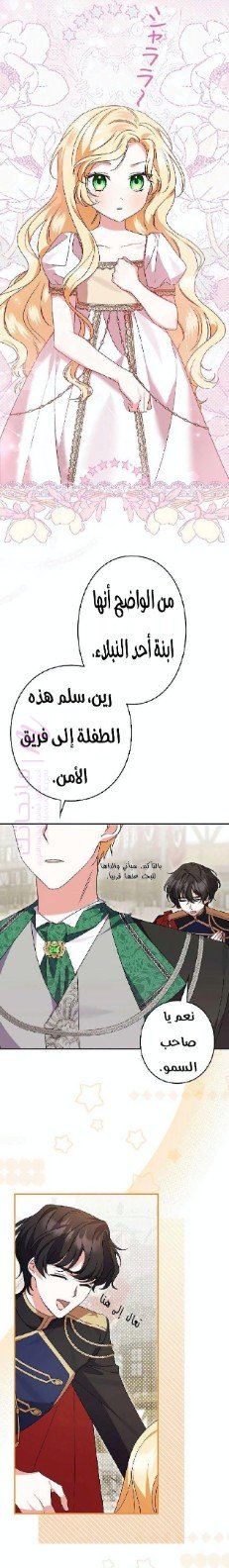 الصفحة 31