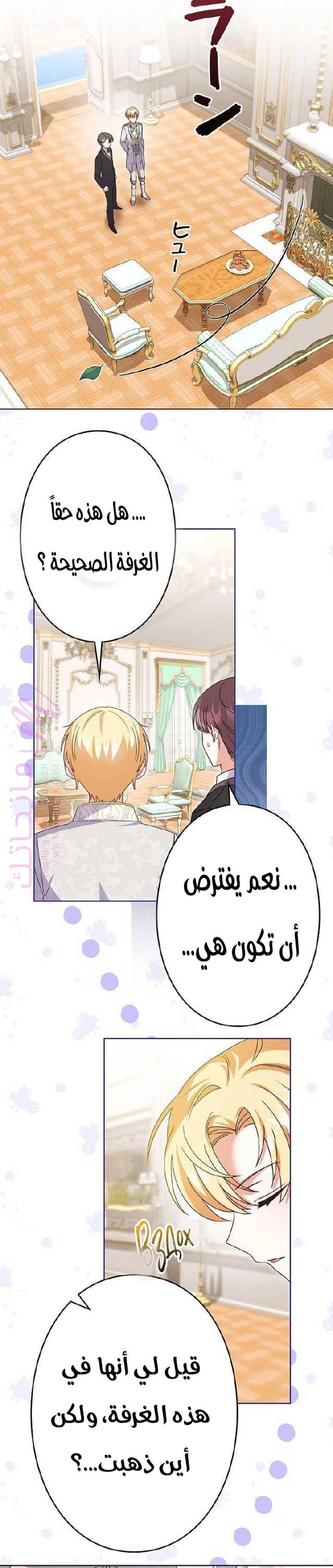 الصفحة 13