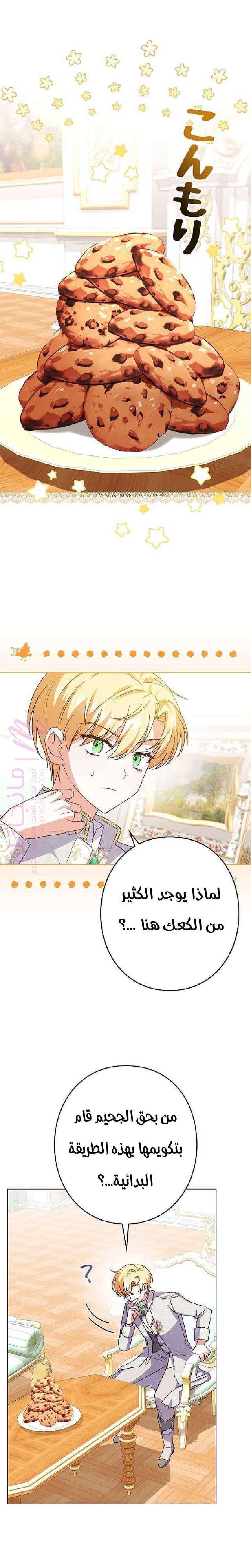 الصفحة 15