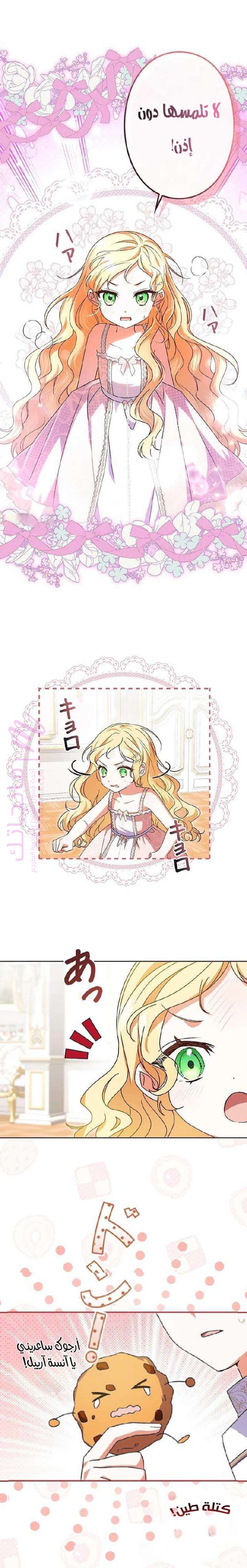 الصفحة 17