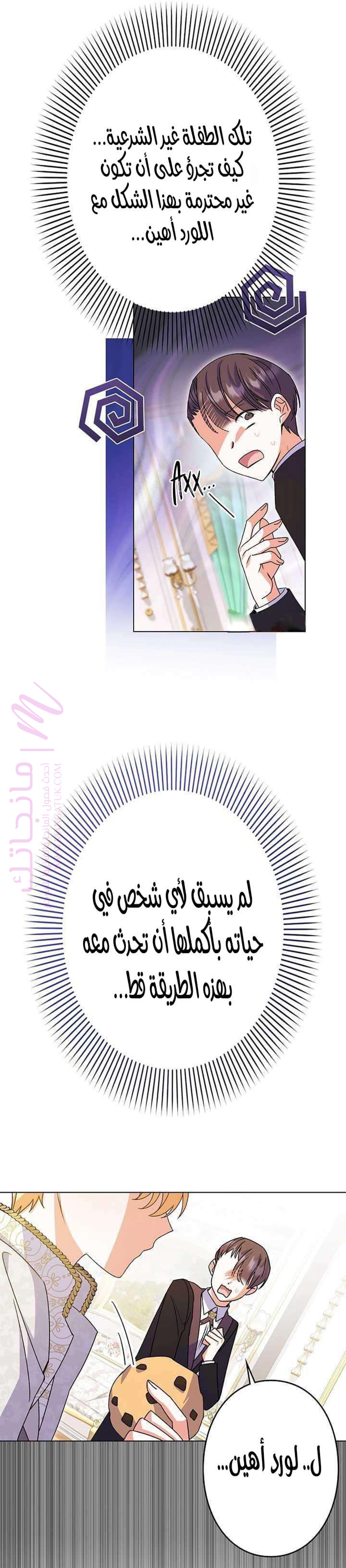 الصفحة 19