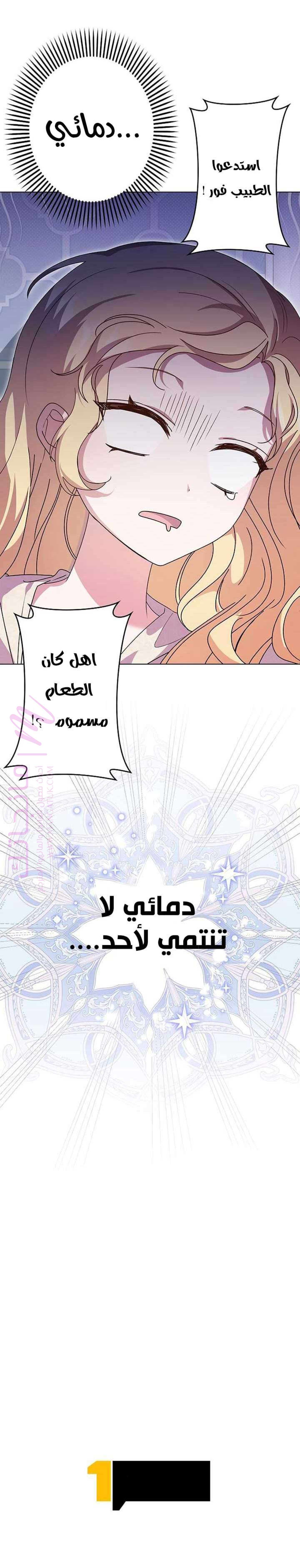 الصفحة 16