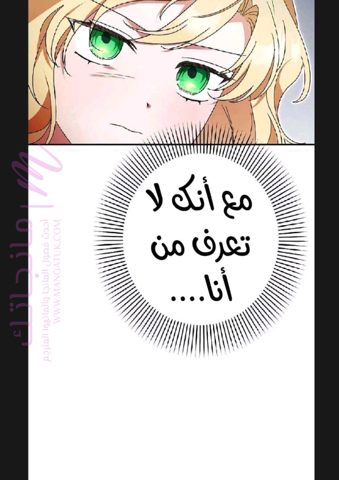 الصفحة 48
