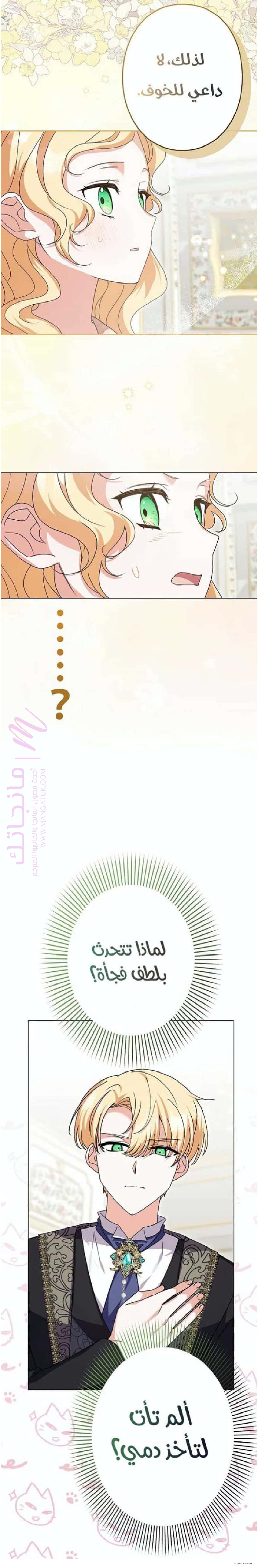 الصفحة 17