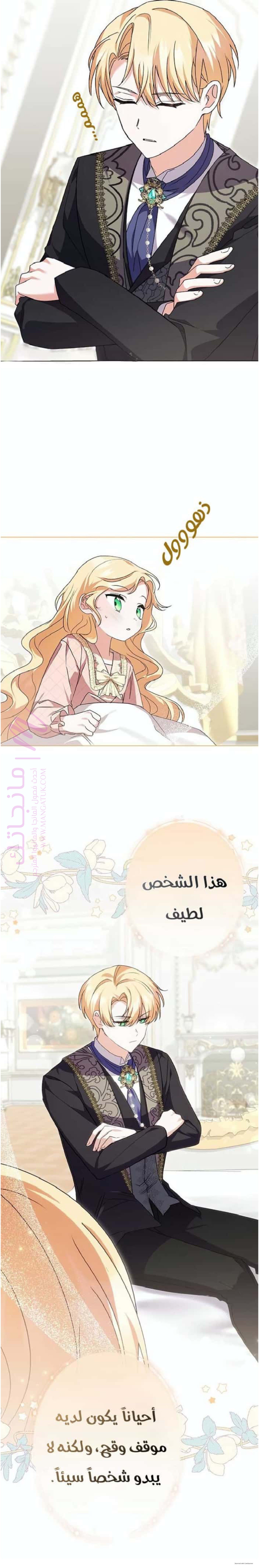 الصفحة 19