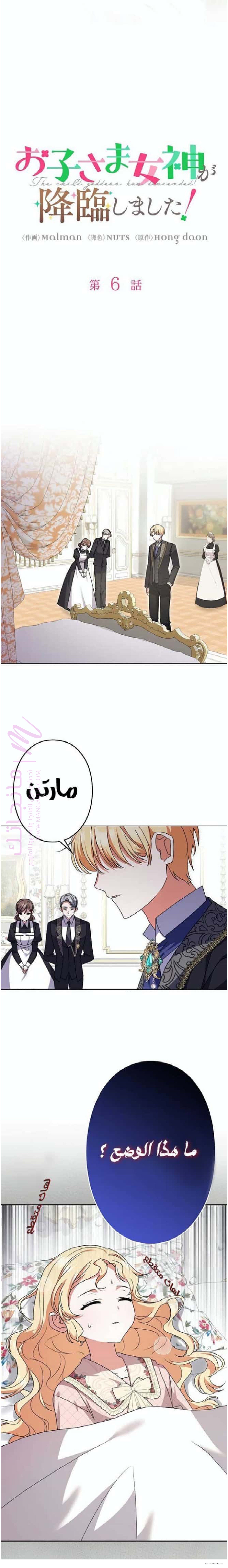 الصفحة 5