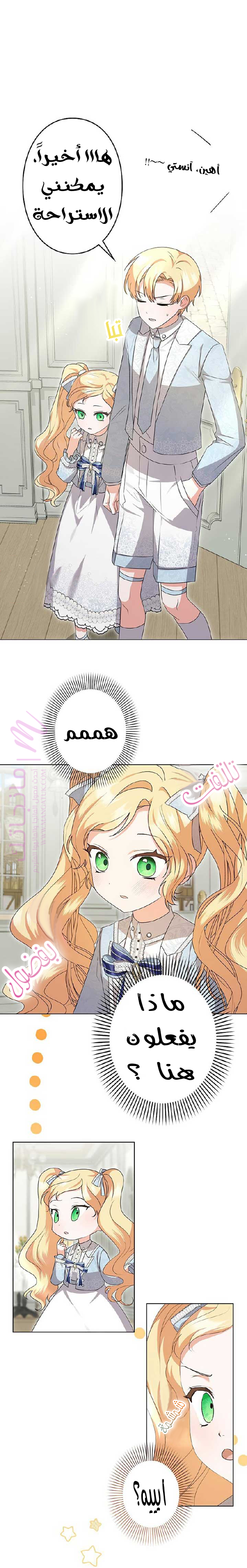 الصفحة 17