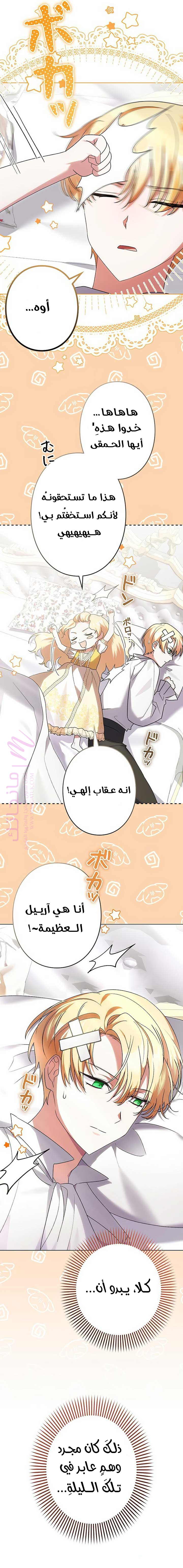 الصفحة 17