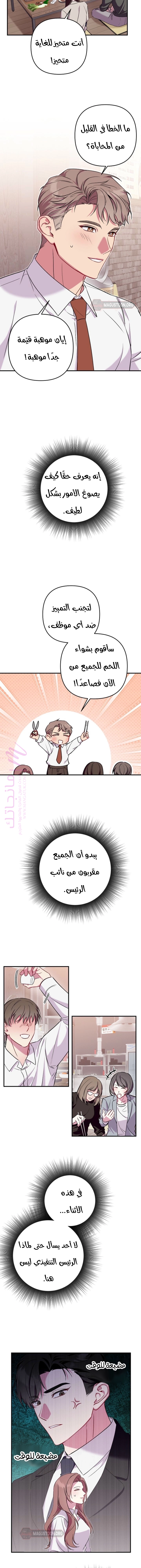 الصفحة 11