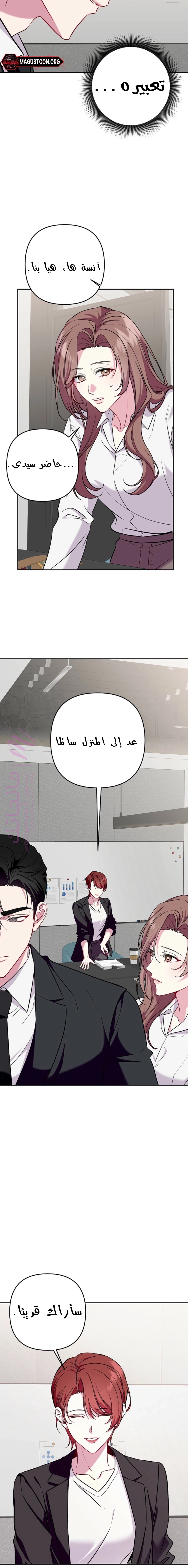 الصفحة 12