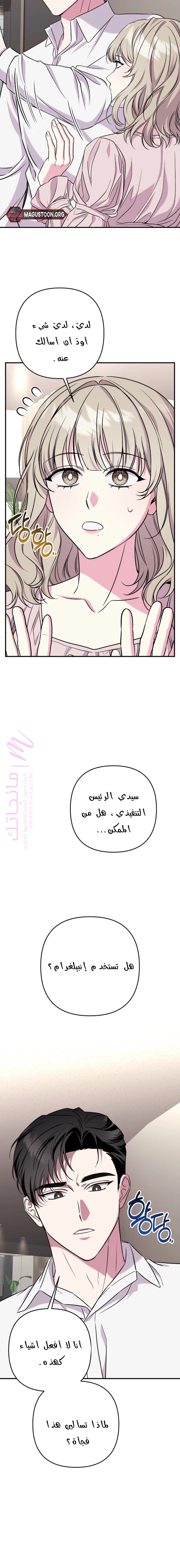 الصفحة 19