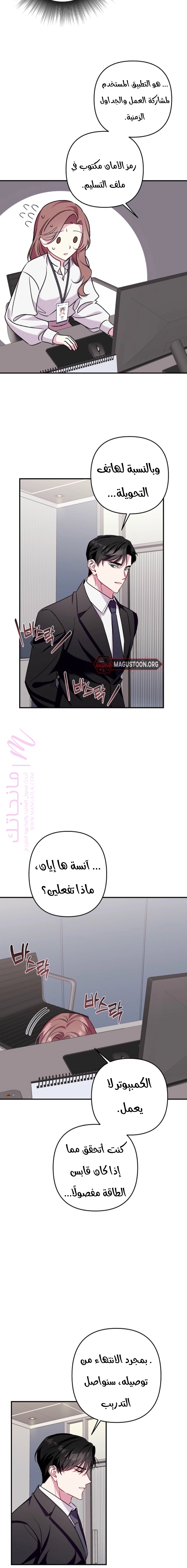 الصفحة 17