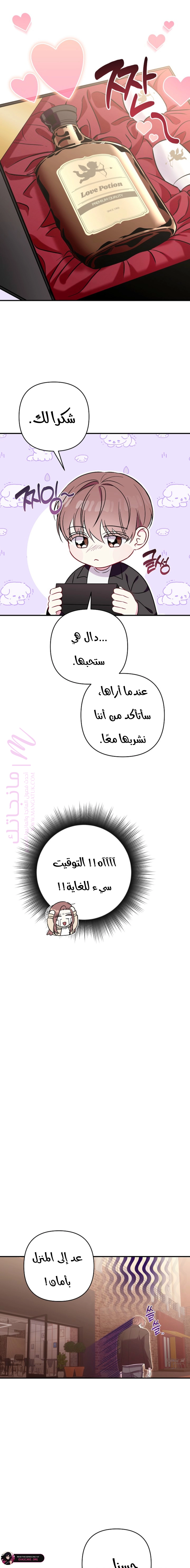 الصفحة 15