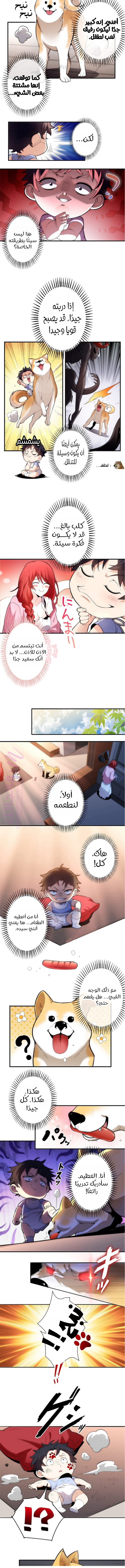 الصفحة 6