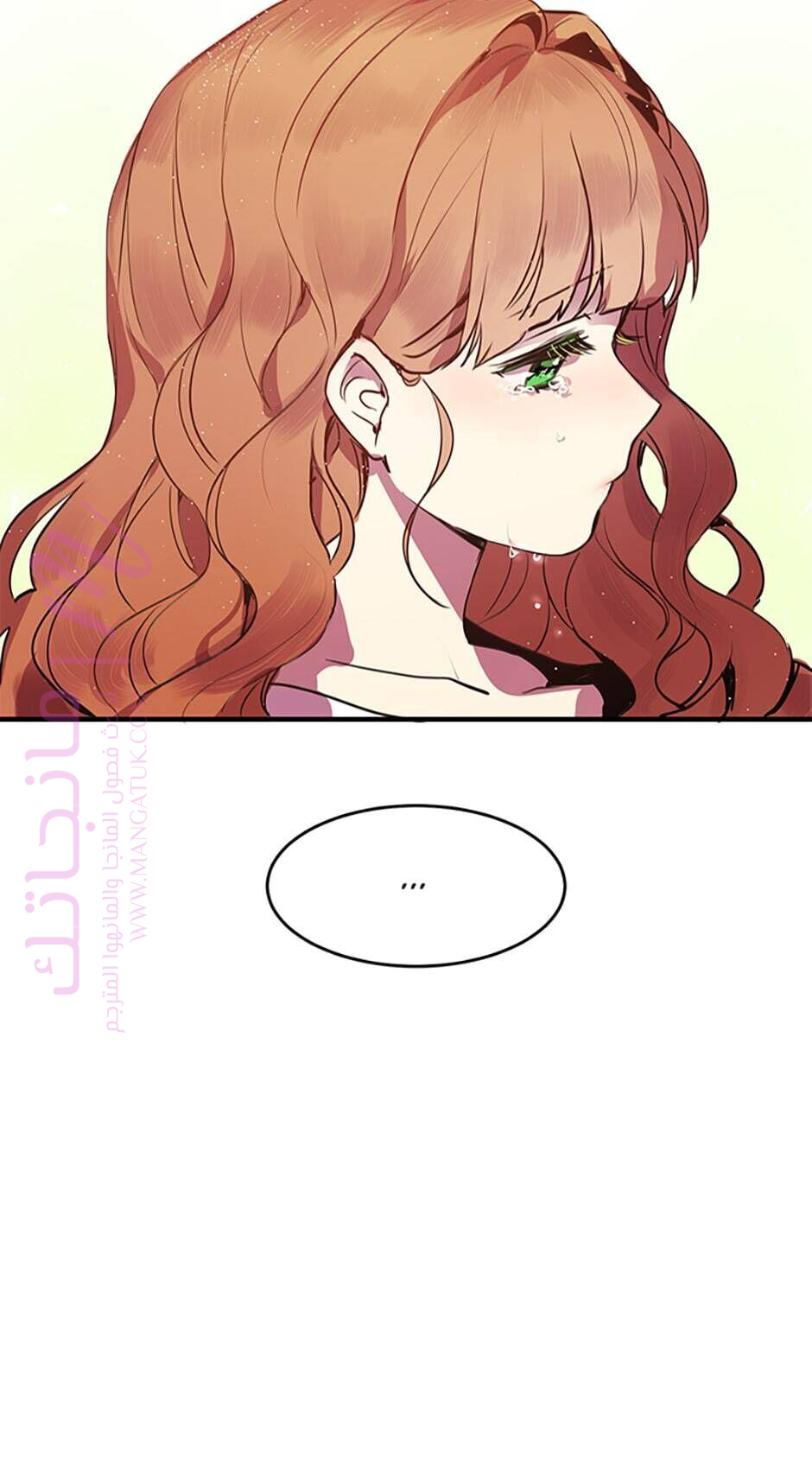 الصفحة 20