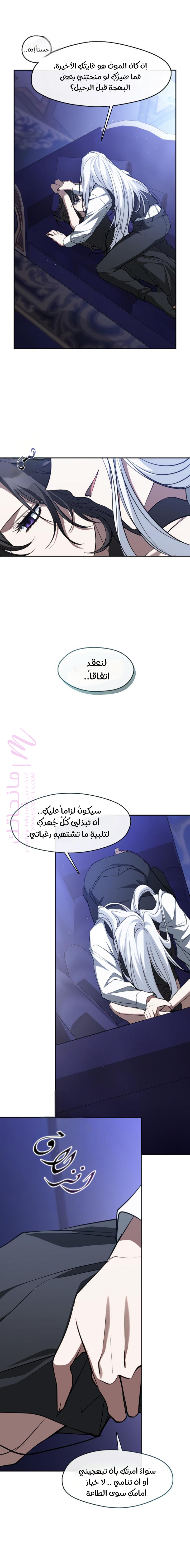 الصفحة 20