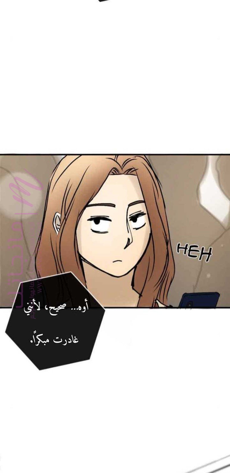 الصفحة 20