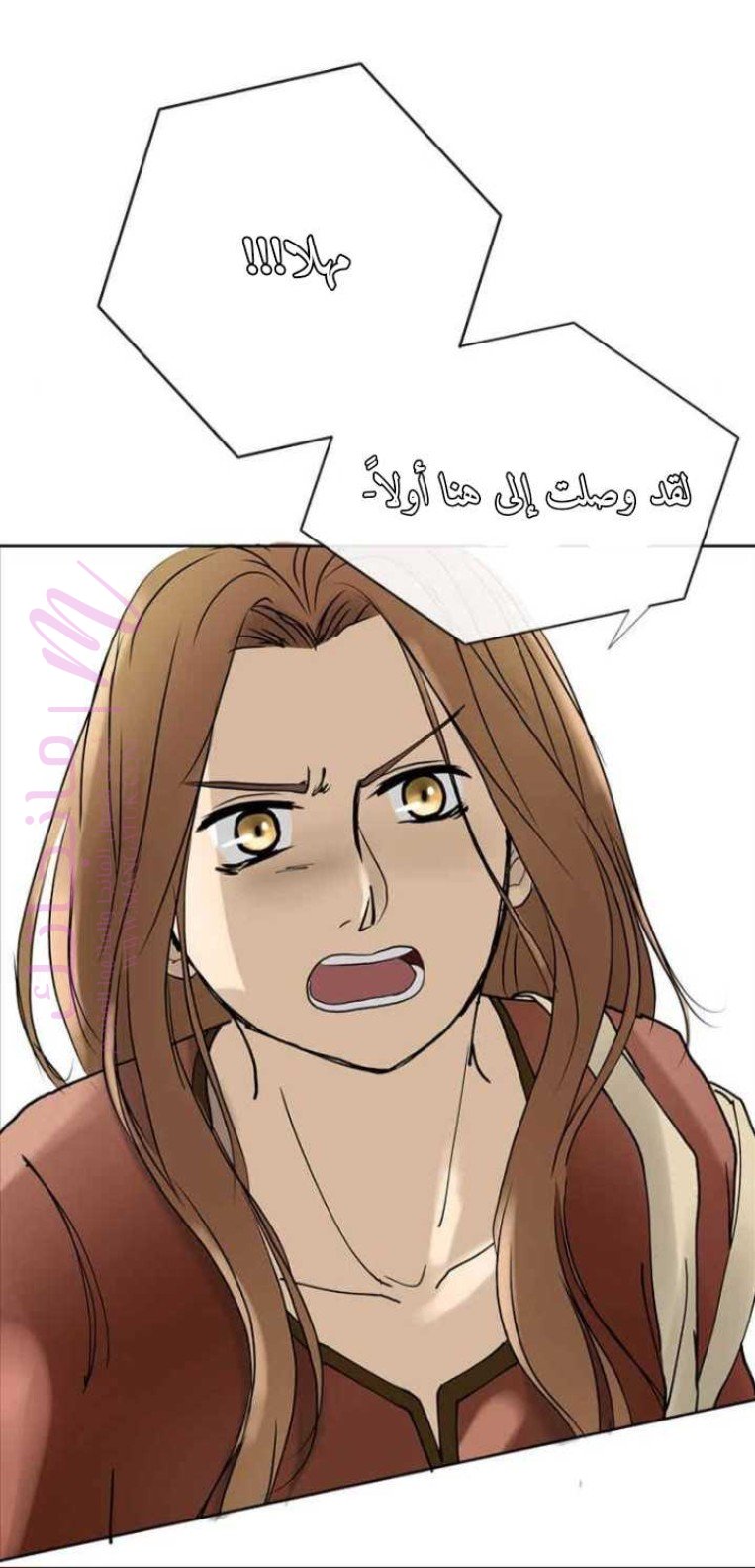 الصفحة 30