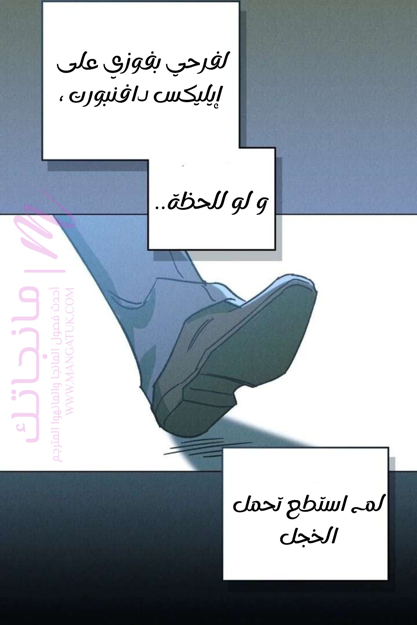 الصفحة 29