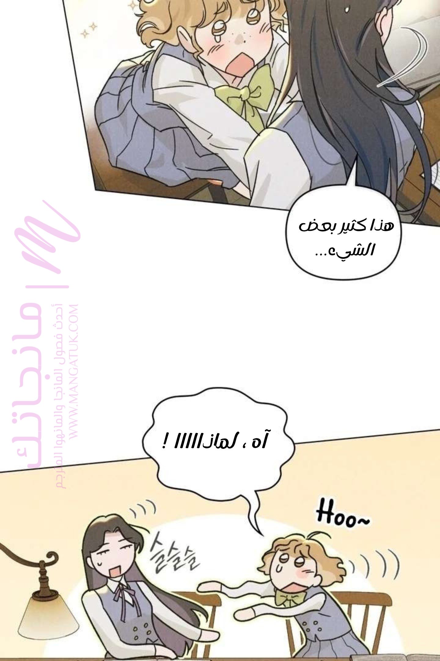 الصفحة 46