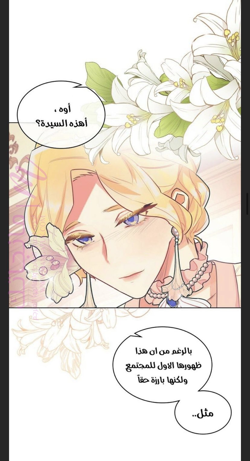 الصفحة 27