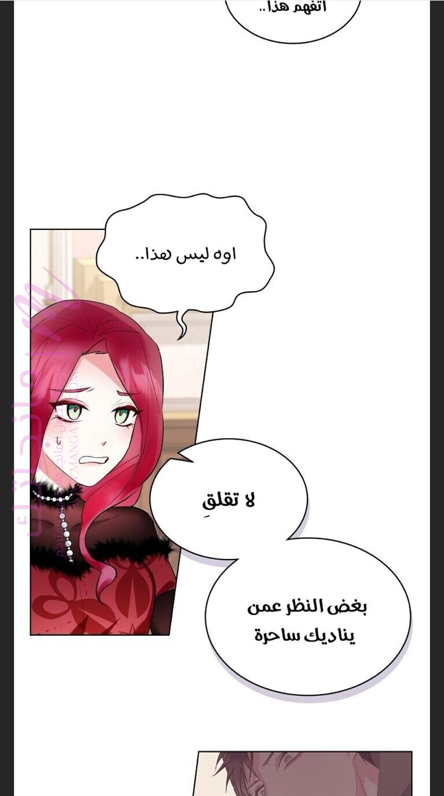 الصفحة 41