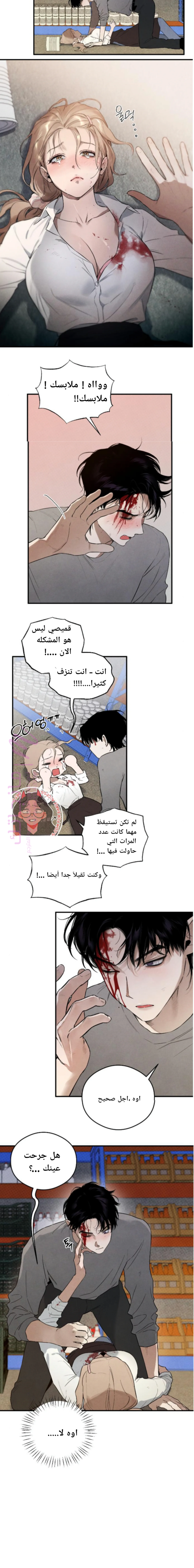 الصفحة 11