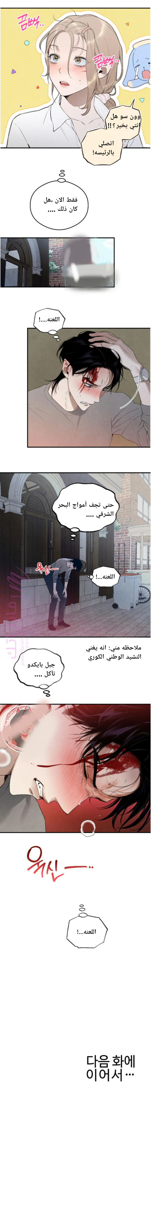 الصفحة 13