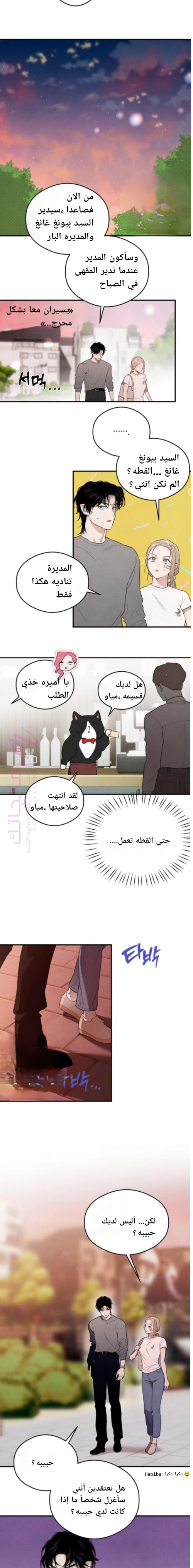 الصفحة 12