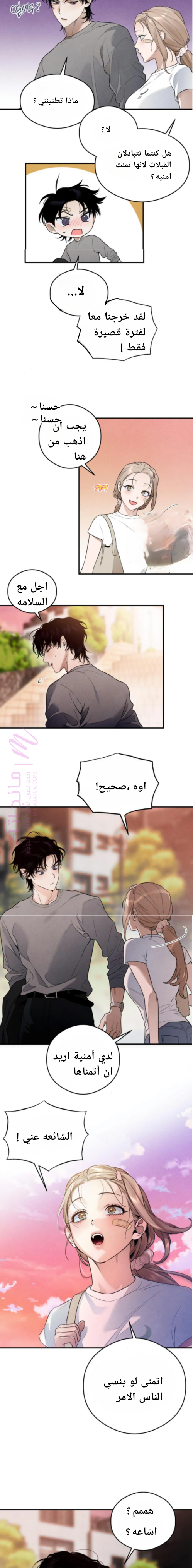 الصفحة 13