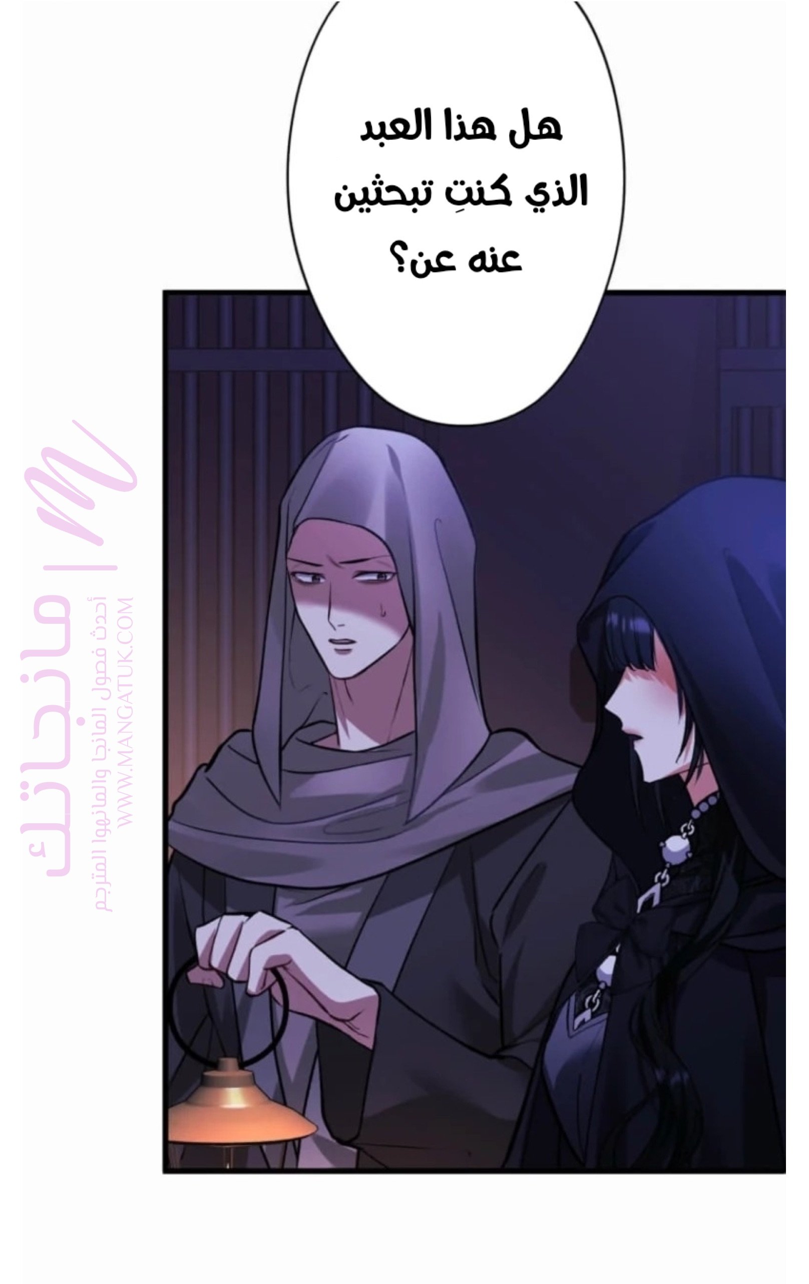 الصفحة 12
