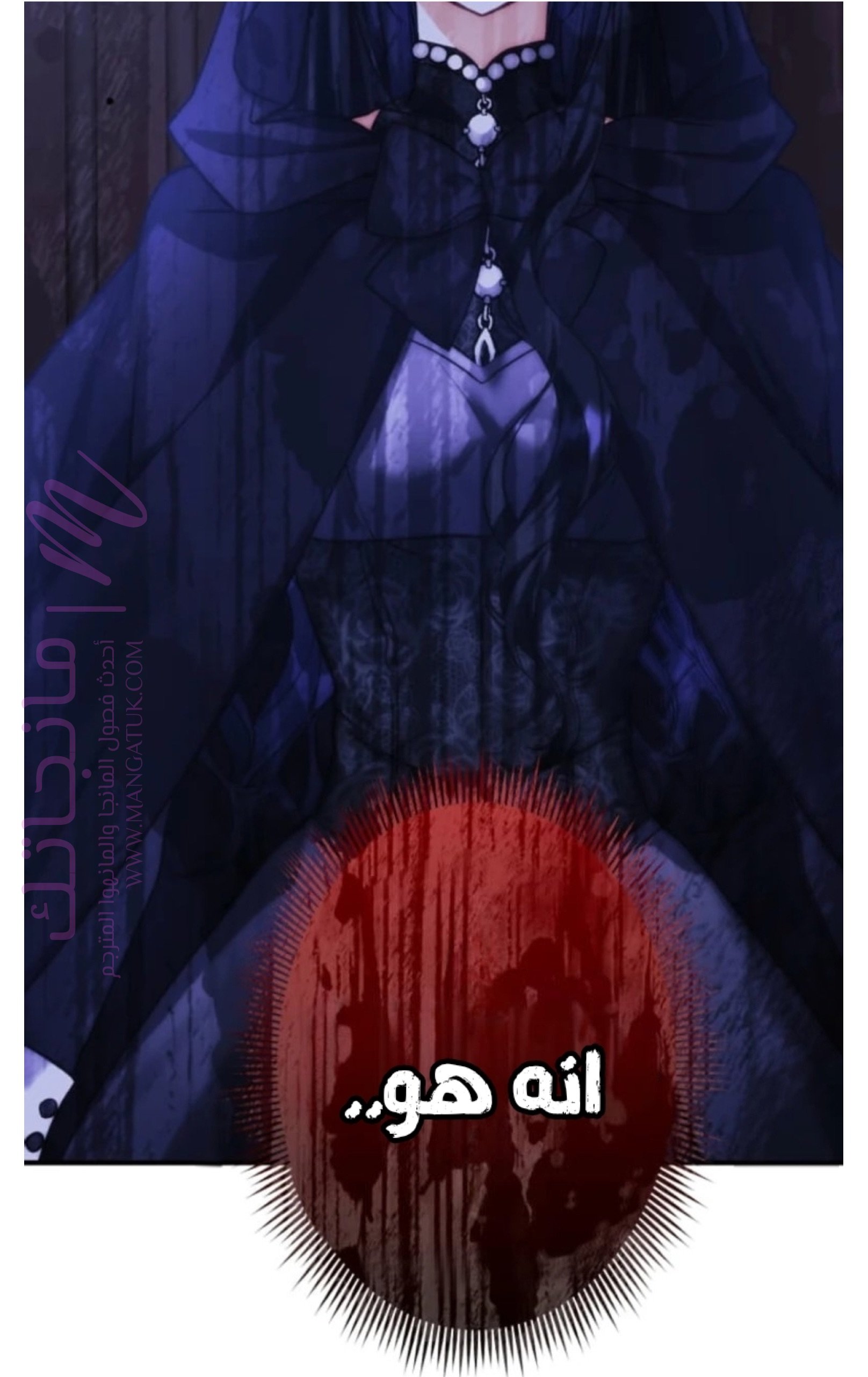الصفحة 17