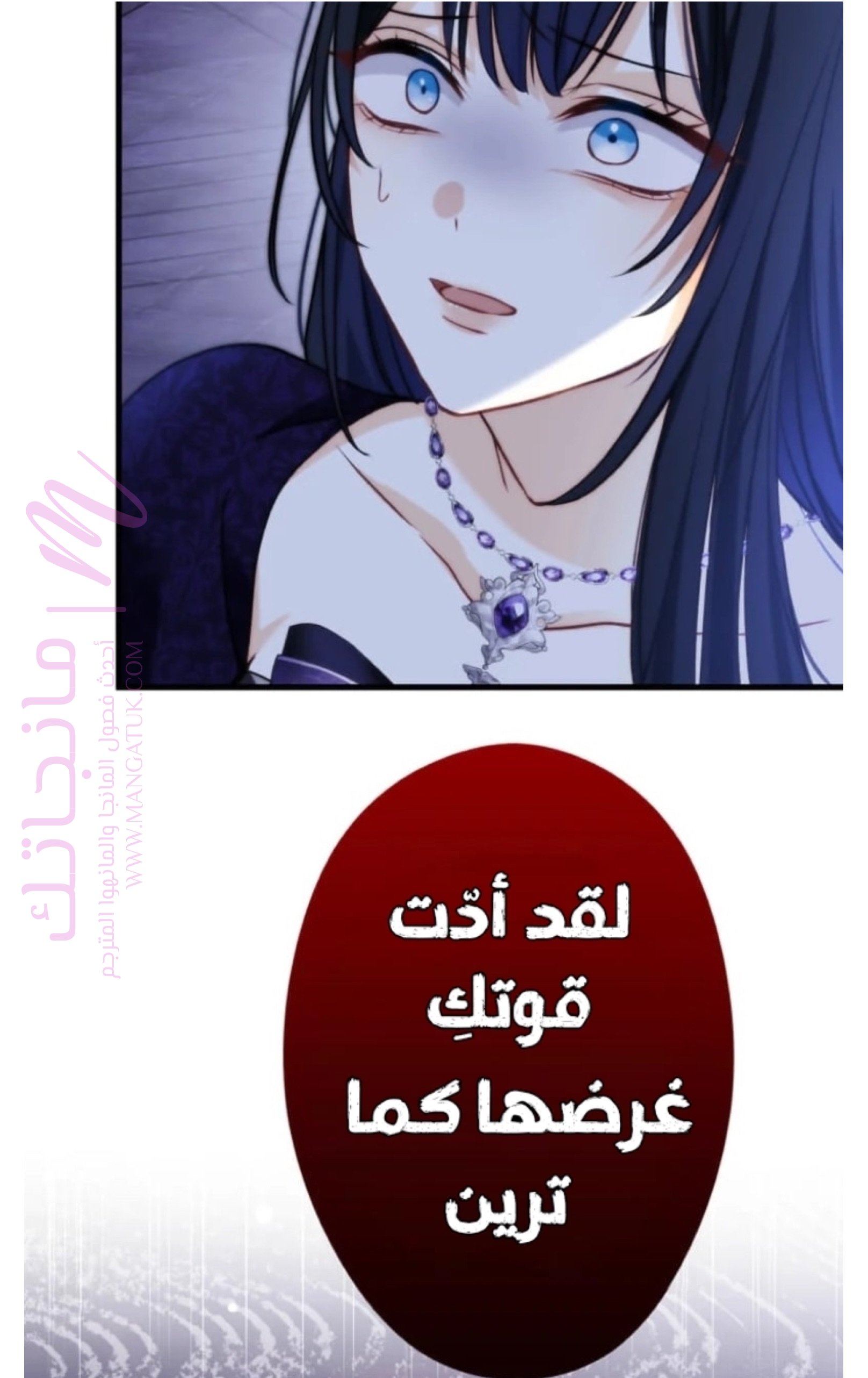 الصفحة 41