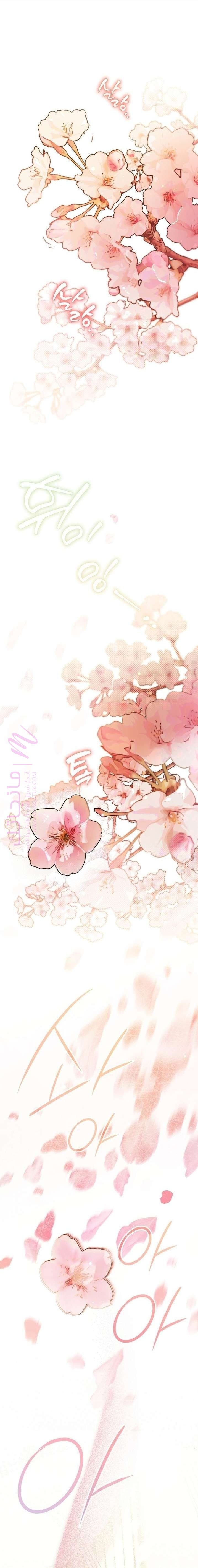 الصفحة 2