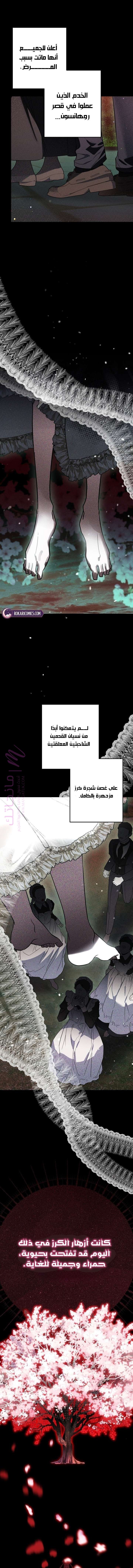 الصفحة 22