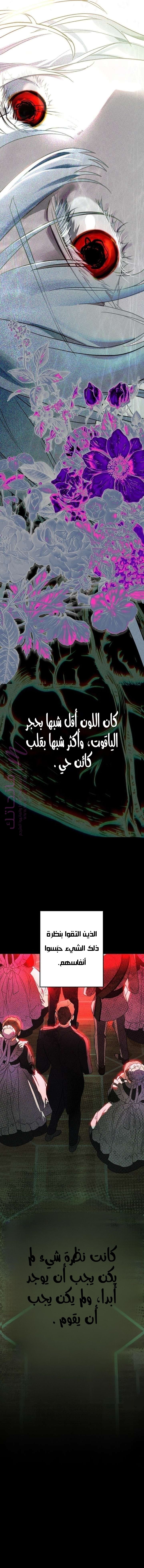 الصفحة 30