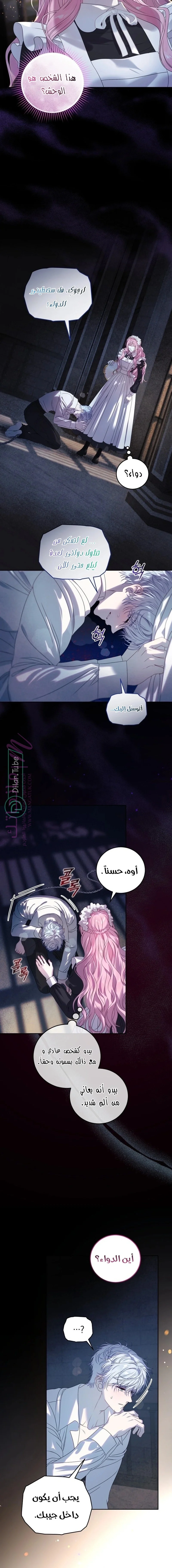 الصفحة 13