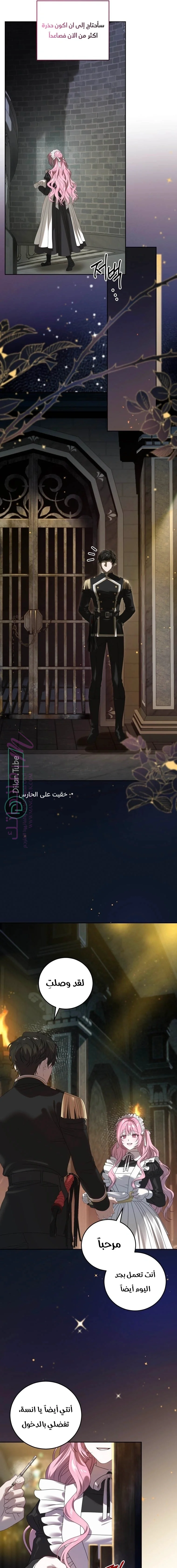 الصفحة 17