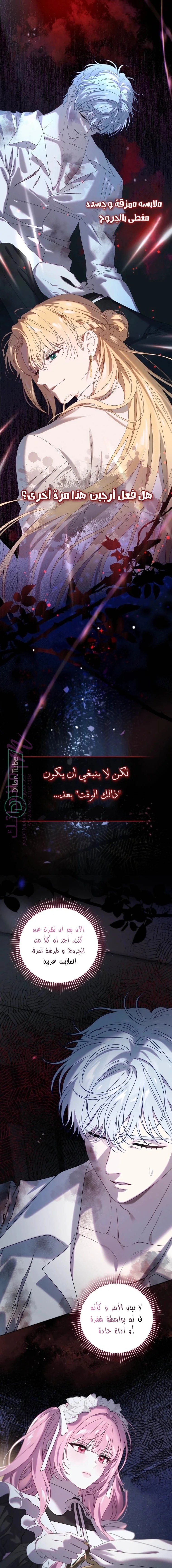 الصفحة 19