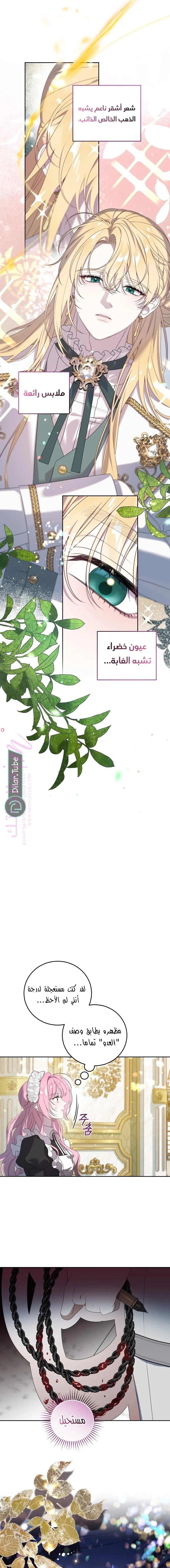 الصفحة 9