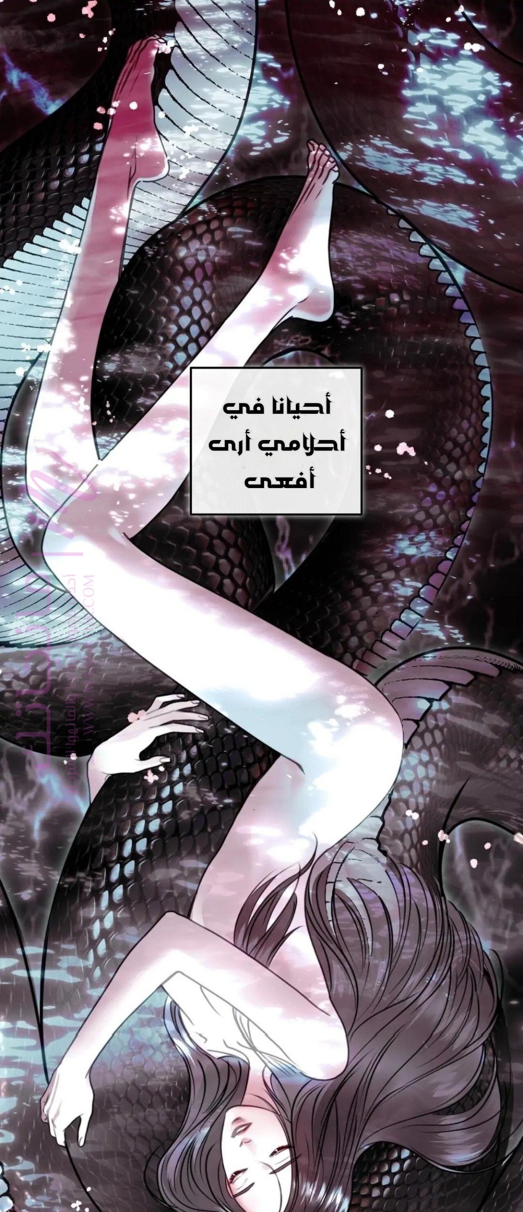 معاينة فصل مقفل