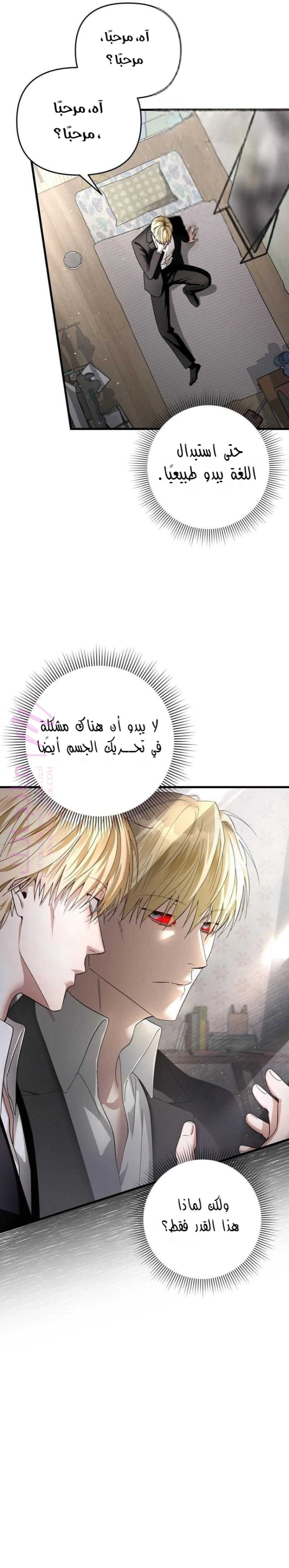 الصفحة 17