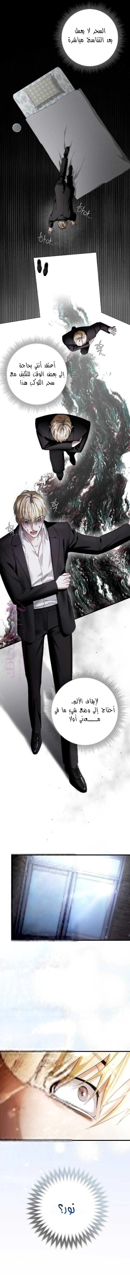 الصفحة 19